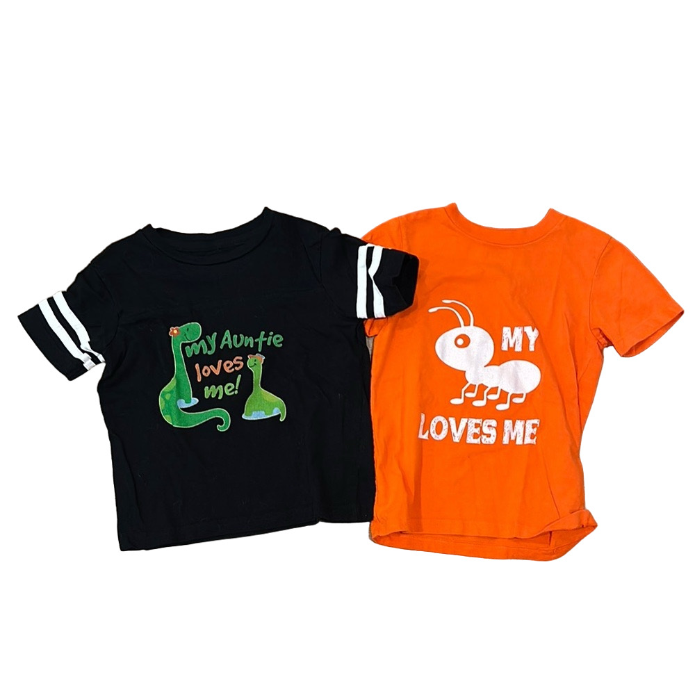 Toddler Boys My Aunt Loves Me Tees Size 3T
